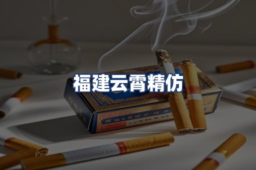 福建云霄精仿